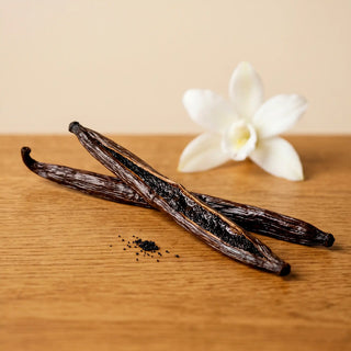 Vanilla Bean