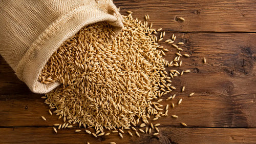 Why Every StaverY Jar Starts with Sprouted Oats