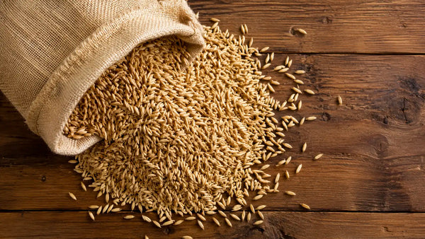 Why Every StaverY Jar Starts with Sprouted Oats